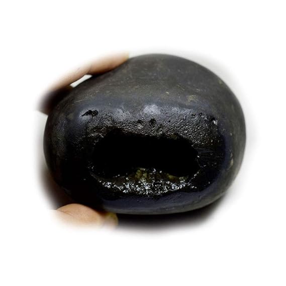 Bharatyug Original Damodar Shaligram Shila Stone Origin Gandaki River Nepal Idol Lord Vishnu,Tulsi Puja