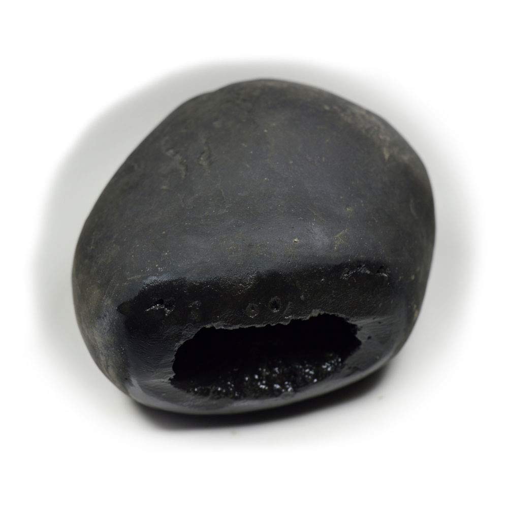 Bharatyug Original Damodar Shaligram Shila Stone Origin Gandaki River Nepal Idol Lord Vishnu,Tulsi Puja