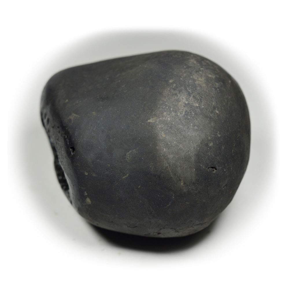 Bharatyug Original Damodar Shaligram Shila Stone Origin Gandaki River Nepal Idol Lord Vishnu,Tulsi Puja
