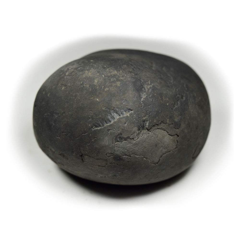 Bharatyug Original Damodar Shaligram Shila Stone Origin Gandaki River Nepal Idol Lord Vishnu,Tulsi Puja