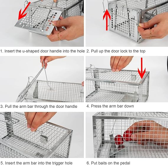 Mouse Trap Iron Cage Pinjra