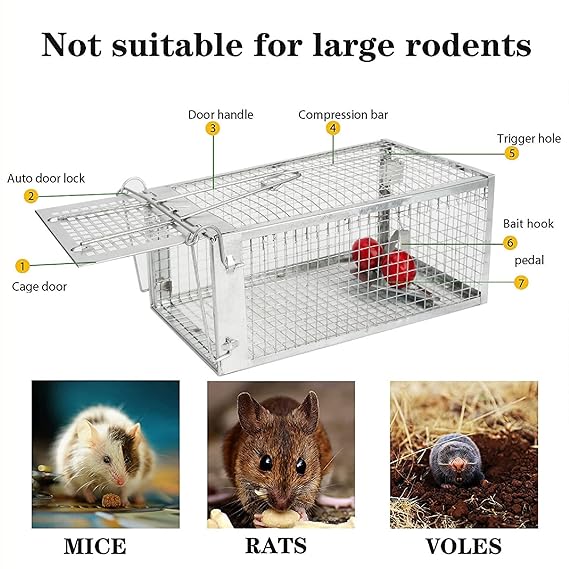 Mouse Trap Iron Cage Pinjra