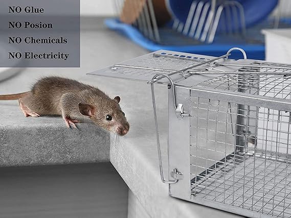 Mouse Trap Iron Cage Pinjra