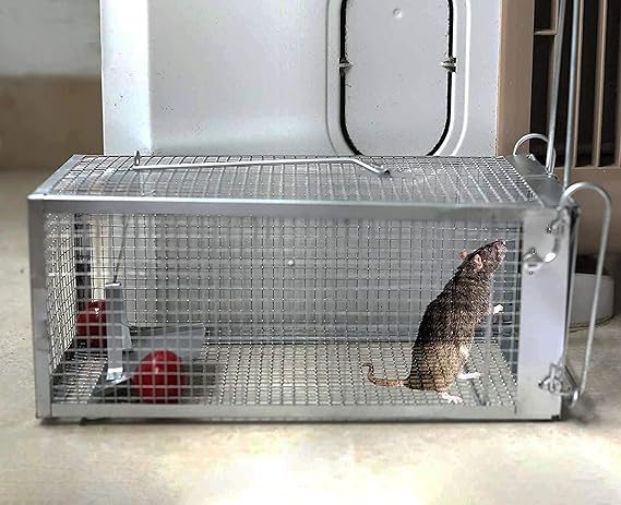 Mouse Trap Iron Cage Pinjra