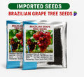 BRAZILIAN GRAPE TREE SEEDS PACK OF 2