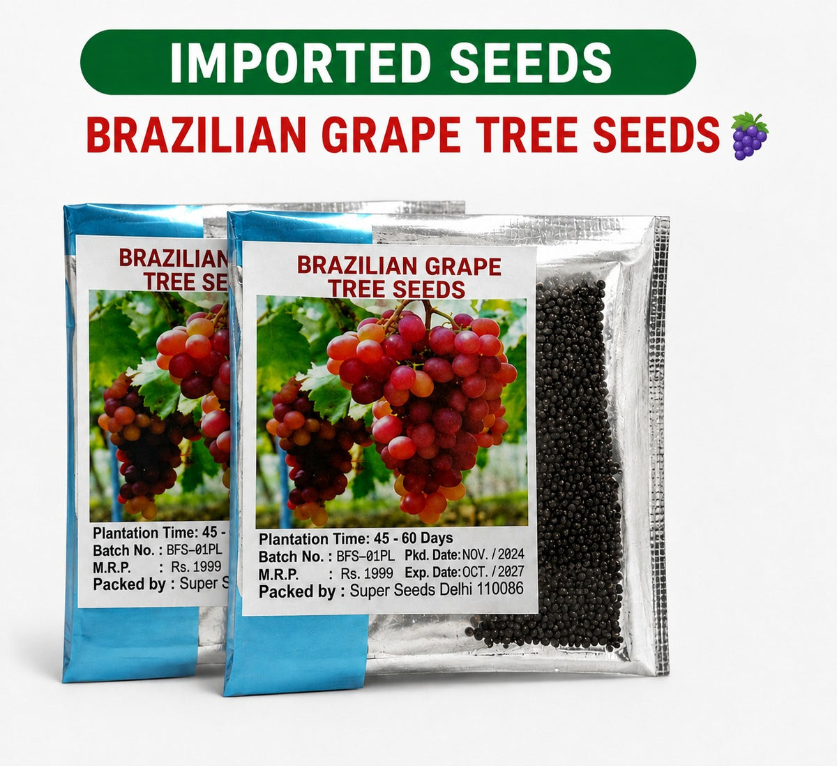 BRAZILIAN GRAPE TREE SEEDS PACK OF 2