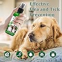 Flea and Tick Spray for Dogs, Flea and Tick Prevention 100 ml each pack of 2