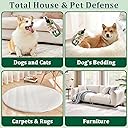 Flea and Tick Spray for Dogs, Flea and Tick Prevention 100 ml each pack of 2
