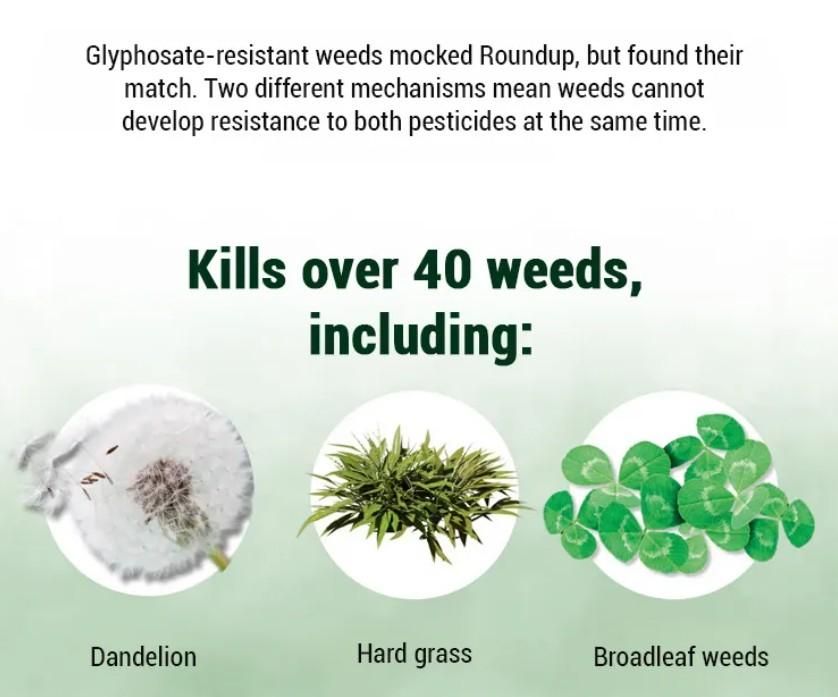 (Pack of 1) Dual-Action Weed Killer - Max Power Herbicide