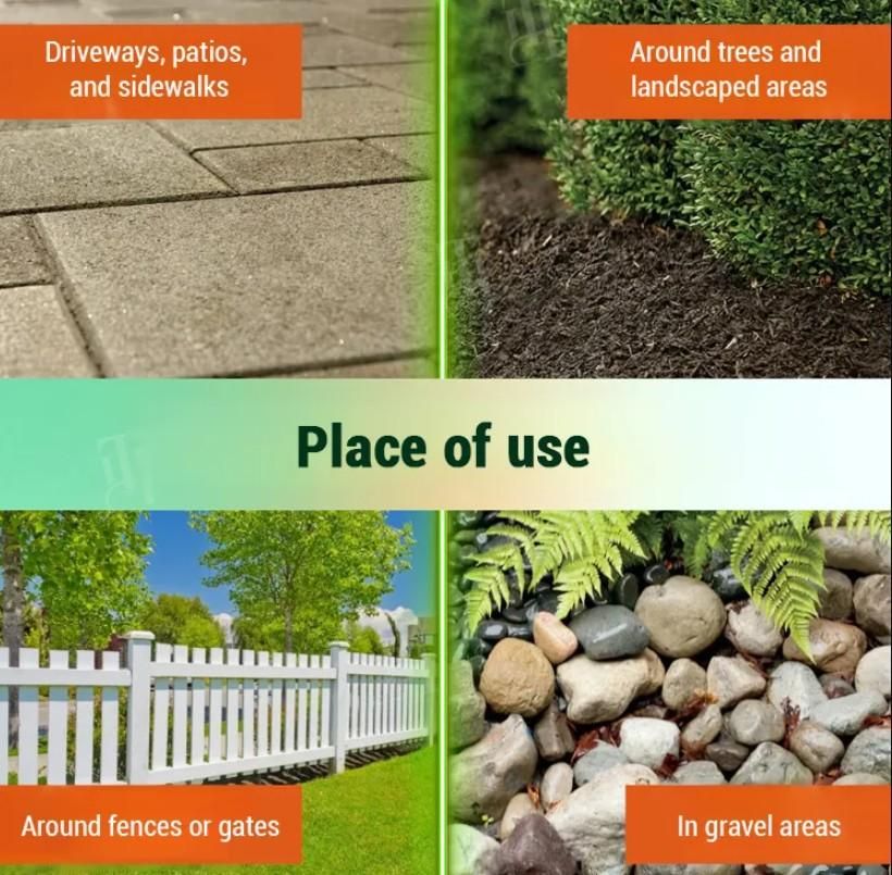 (Pack of 2) Dual-Action Weed Killer - Max Power Herbicide