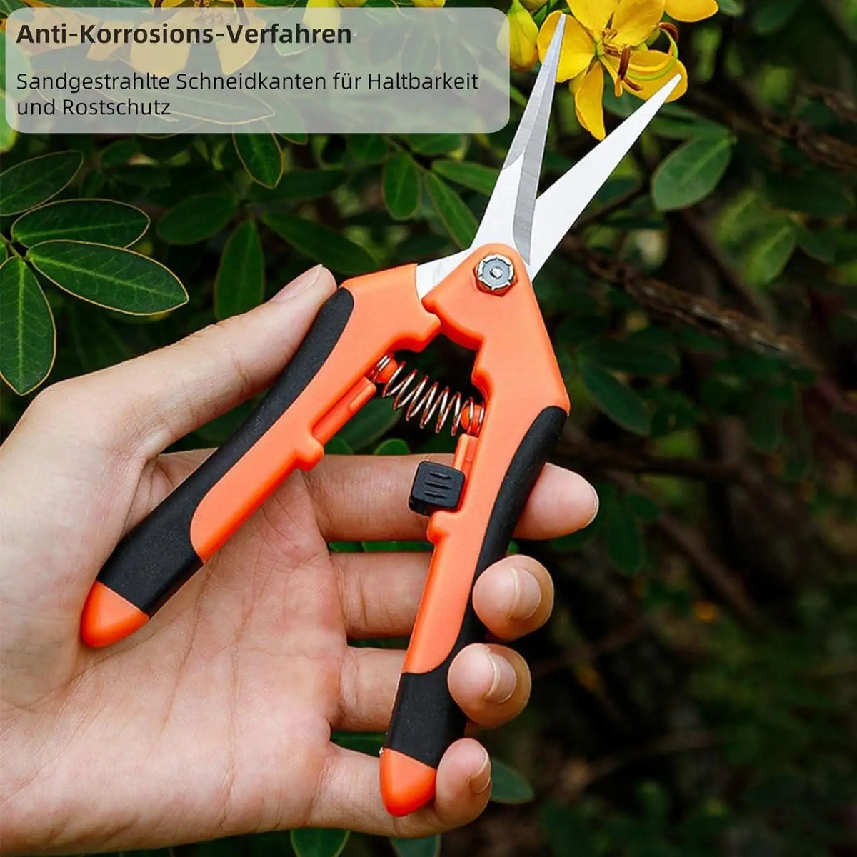 Curved Garden Scissors