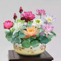 Bonsai Lotus Flower Seeds( 20 SEEDS)