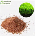 AI Aquarium Grass Seeds pack of 2