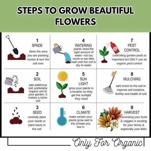 150 Variety Of Organic Flower Seeds And  Plant Growth Free Pack Of 1