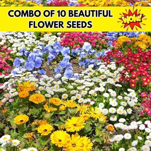 150 Variety Of Organic Flower Seeds And  Plant Growth Free Pack Of 1