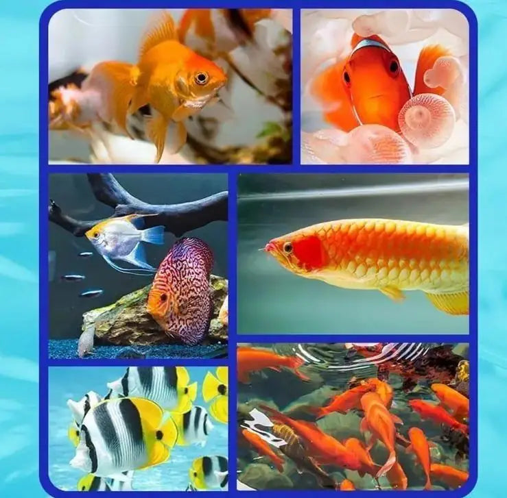 Fish Tank Water Purifier Algae Remover 100ml(PACK OF 1)