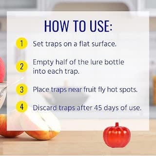 Insect Fruit Fly Traps Pumpkin (Pack of 1)