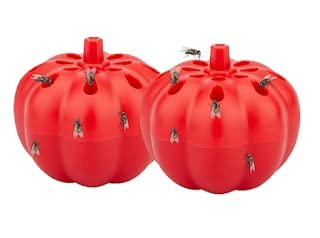 Insect Fruit Fly Traps Pumpkin (Pack of 1)