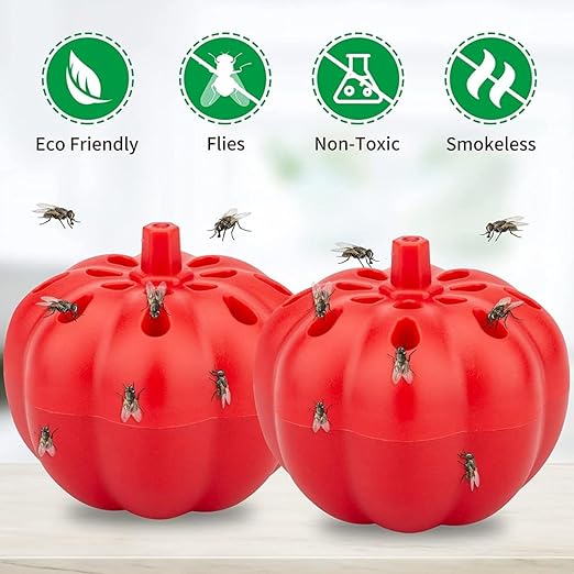 Insect Fruit Fly Traps Pumpkin (Pack of 1)