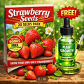 Black Pearl Strawberry Seeds ( Pack of 20) + Plant Growth Serum
