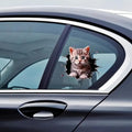 Durable Cat Pattern Car Sticker (Pack of 2)