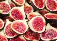 Fig Tree Seeds with plant booster pack of 1