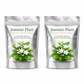 SS Jasmine Plant Premium Nutrition Formula PACK OF 2