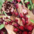 ROSELLE FLOWER SEEDS BUY 1 GET 1 FREE