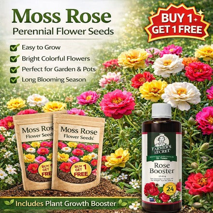 SS BUY 1 GET 1 FREE | Moss Rose Perennial Flower Seeds With Plant Growth Supplement
