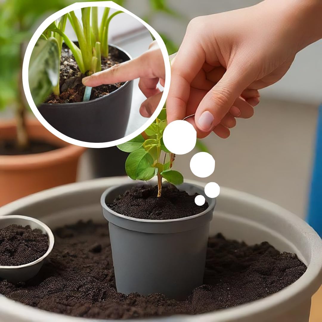 AI Plant Food Sticks for Indoor & Outdoor Plants pack 2(50pcs)