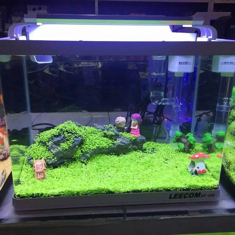 AI Aquarium Grass Seeds pack of 2