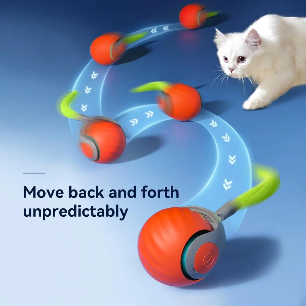Rolling Ball Cat Toy( random color)