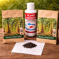 Buy 1 Get 1 Free Brussel Sprout Planting Seeds (Mini Cabbage) – With Plant Growth Supplement Free