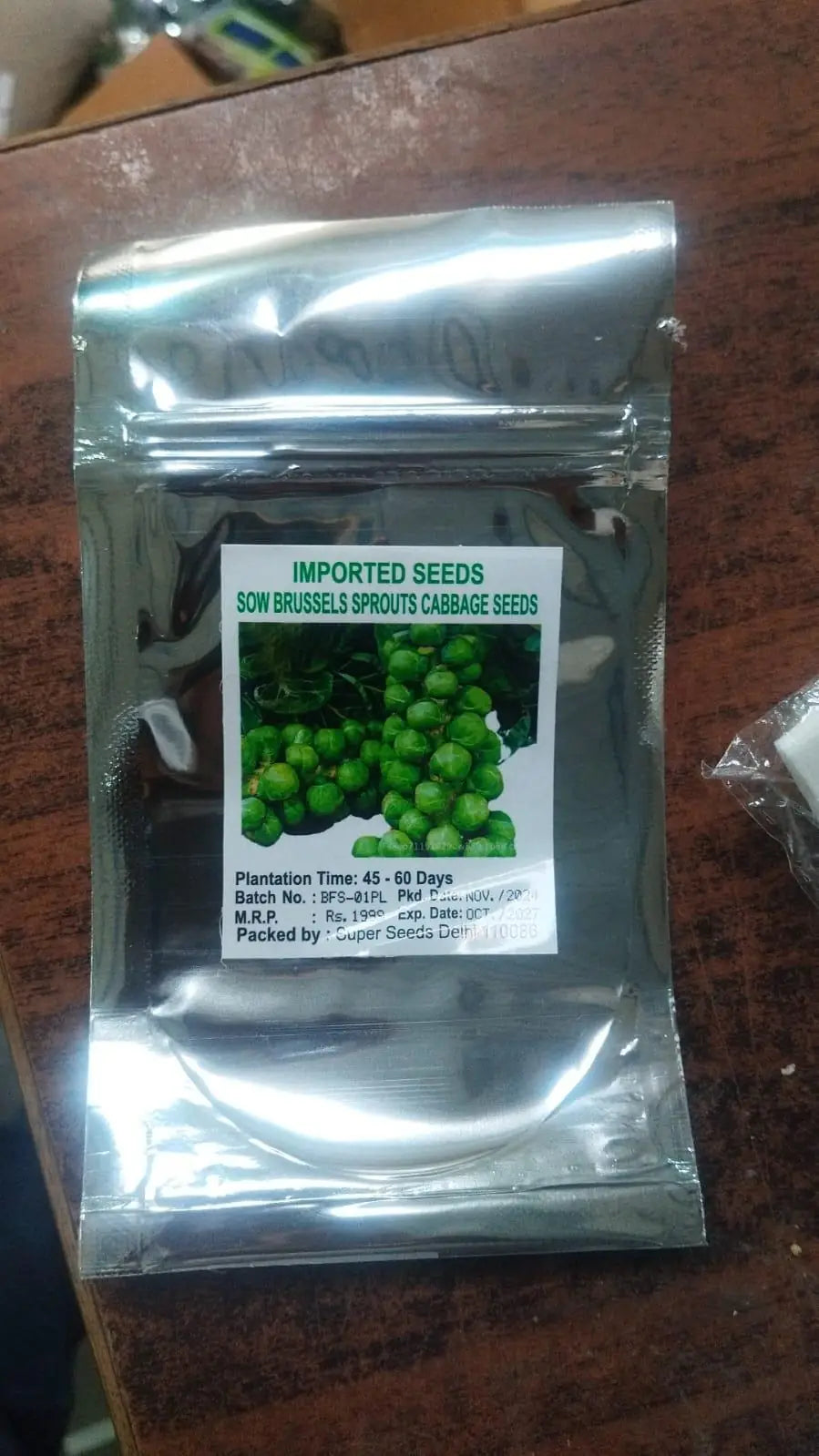 Cabbage organic brussels sprouts seeds