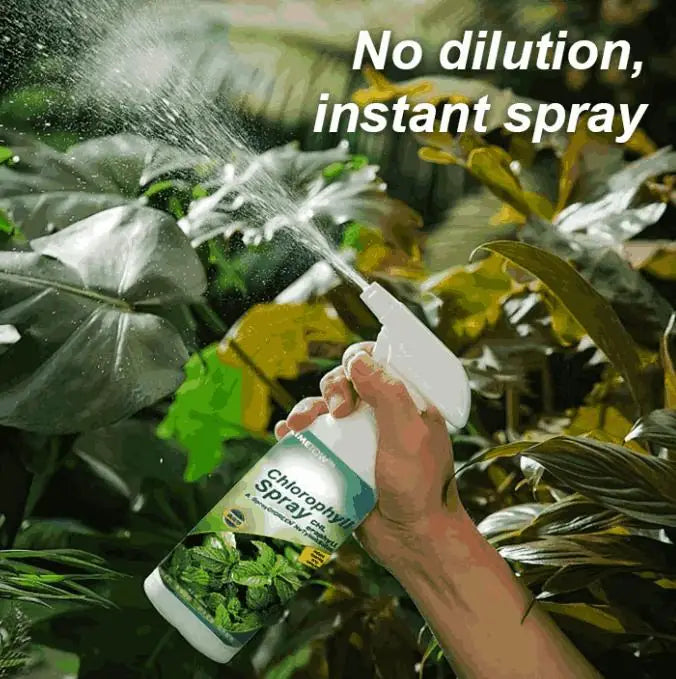 AI Chlorophll Spray 100ML (Pack of 2)