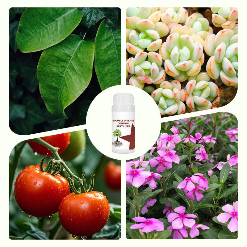 Soluble Disease Control Fertilizer 100 ml Pack of 1