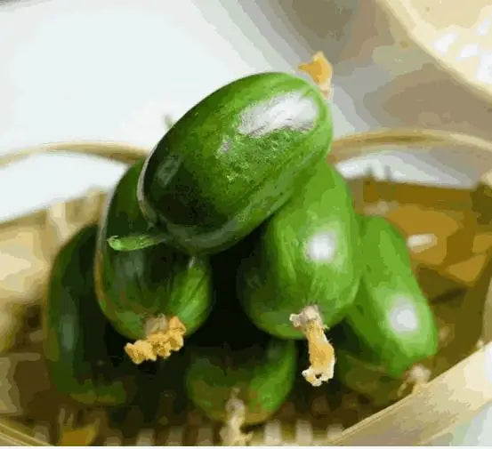 Buy 1 Get 1 FreeCucumber seeds "Golden Boy & Jade Girl" – With Plant Growth Supplement Free
