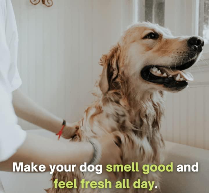 Dog-Shampoo(pack1)