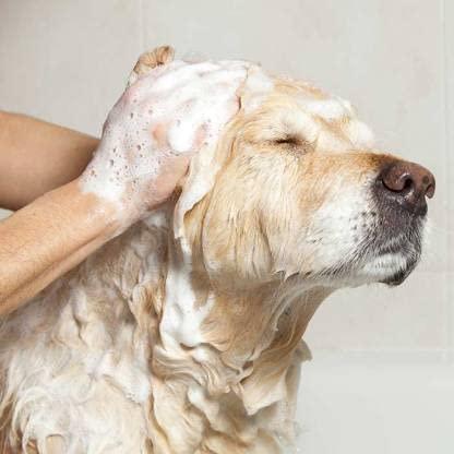 Dog-Shampoo(pack1)