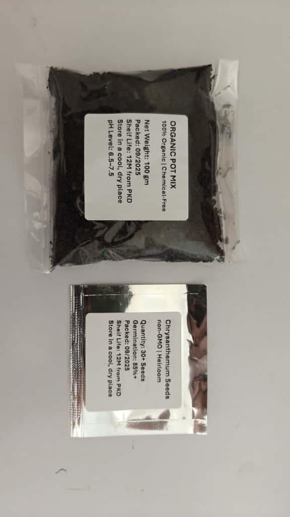 Double-Petal Chrysanthemums Seeds and 100 grams Organic Pot Mix