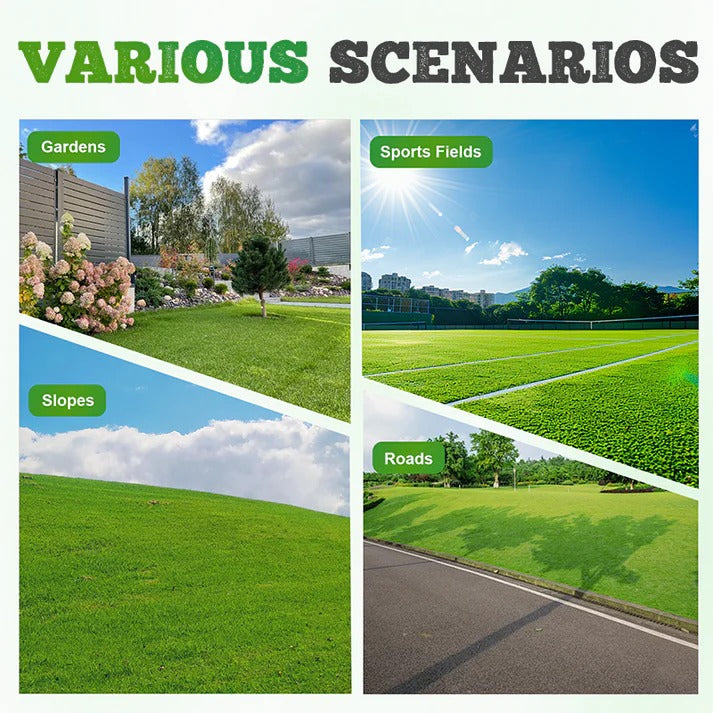 Cold-resistant, drought-resistant, pet-friendly garden grass seeds - evergreen lawn grass seeds (pack of 2)