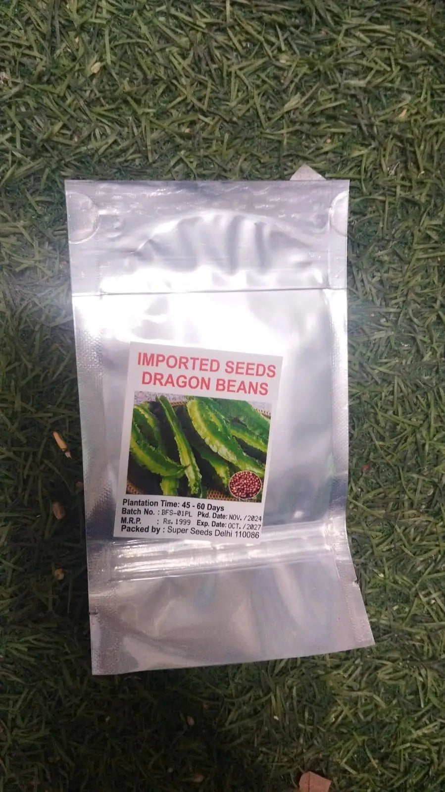 Dragon Been Seeds PACK OF 2