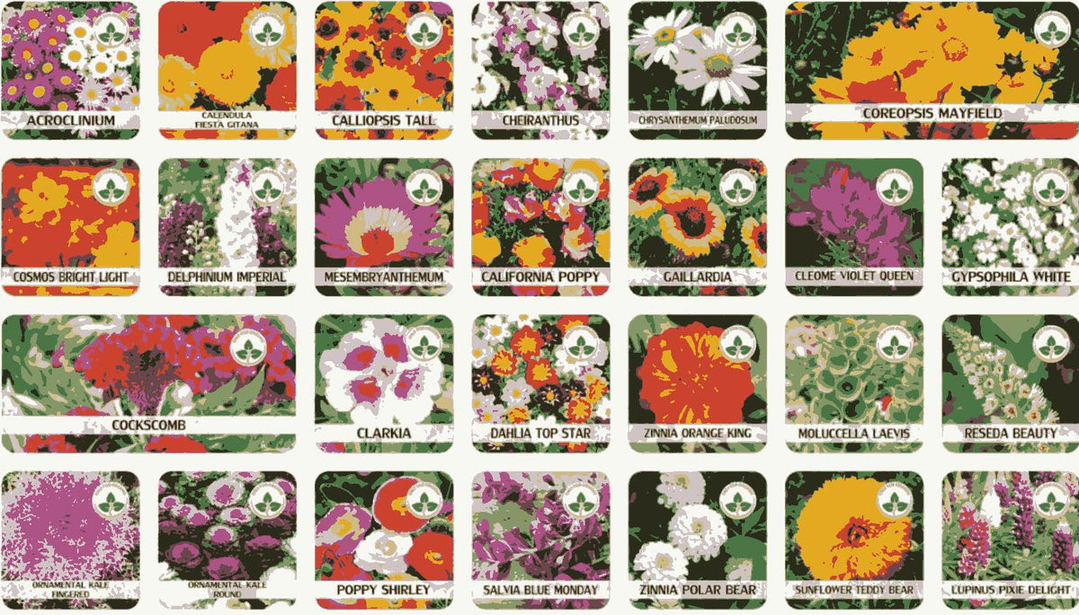 Varieties of Flower Seeds (100 pcs) And  Plant Growth Free
