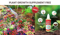 Varieties of Flower Seeds (100 pcs) And  Plant Growth Free