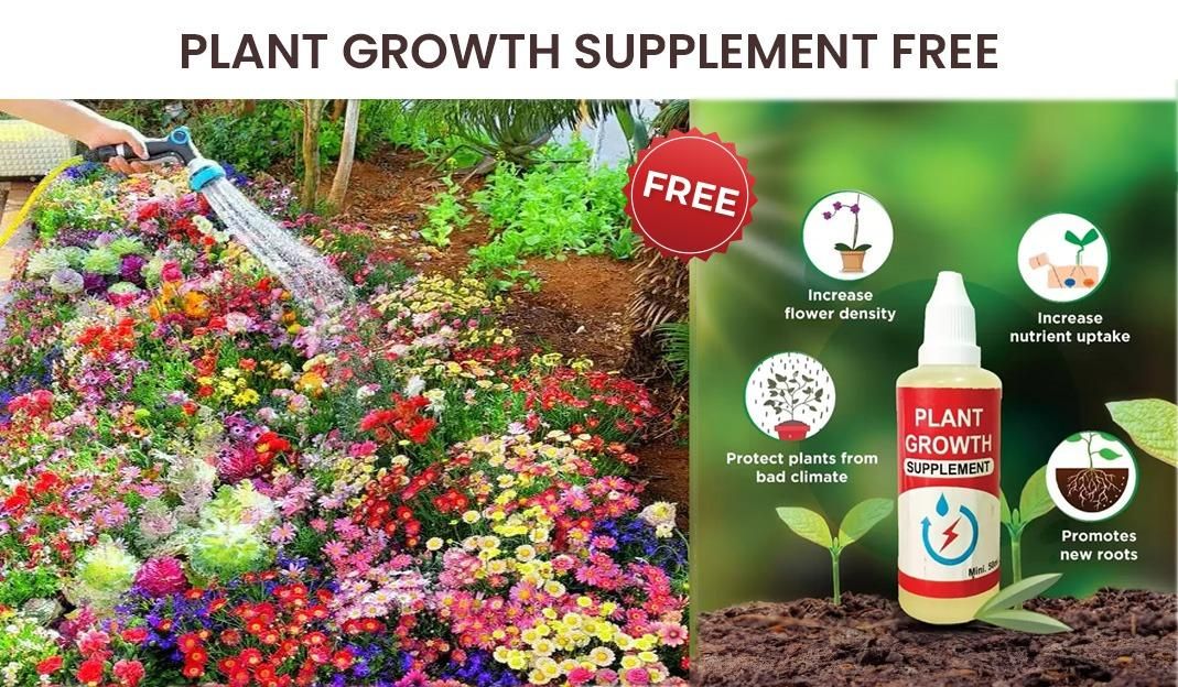 Varieties of Flower Seeds (100 pcs) And  Plant Growth Free