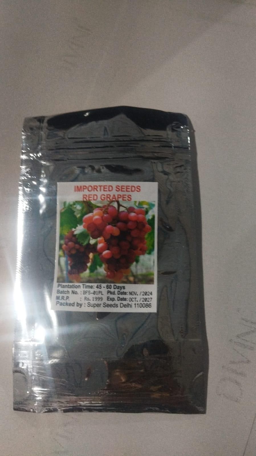 Buddha lantern fruit seeds