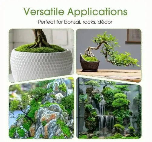 Premium Grade Moss Spore Powder pack of 1