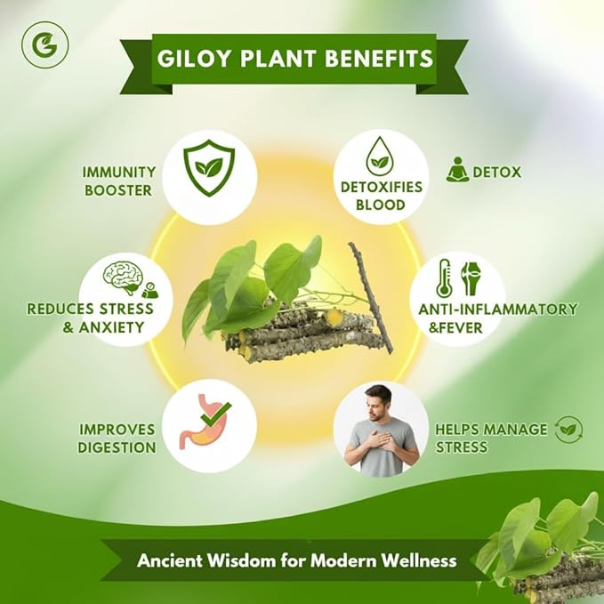 Herbal Giloy Patches, Body Detox Foot Patches(pack of 1)