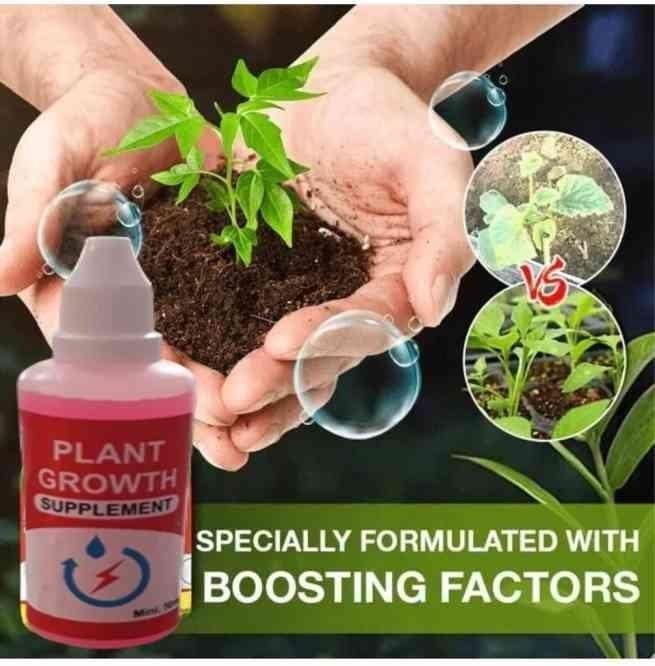 jasmine seeds & plant growth supplements