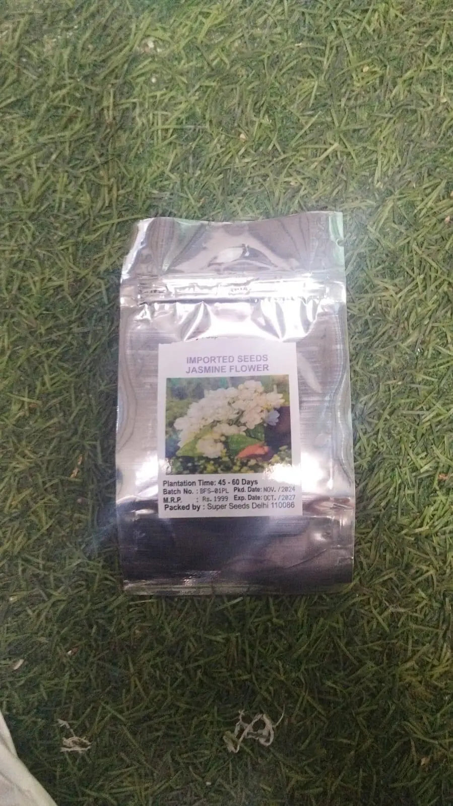 Double Jasmine Seeds PACK OF 2